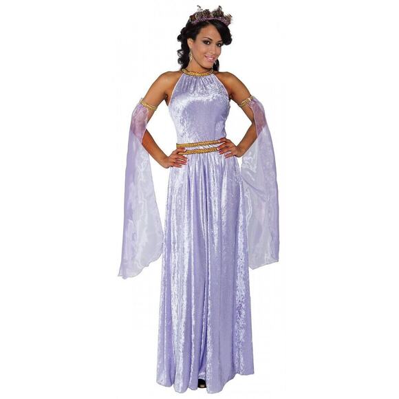 Lady In Waiting Costume Halloween Fancy Dress X-Small Dress And Sleeves Only - Picture 1 of 2